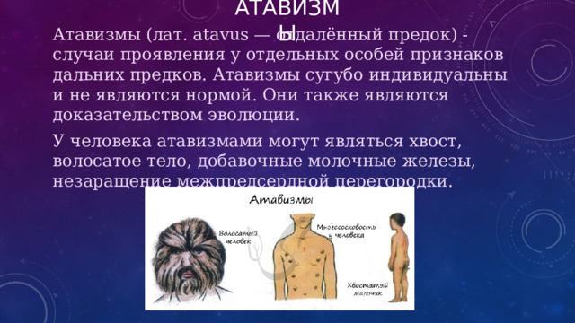 АТАВИЗМЫ Атавизмы (лат. atavus — отдалённый предок) - случаи проявления у отдельных особей признаков дальних предков. Атавизмы сугубо индивидуальны и не являются нормой. Они также являются доказательством эволюции. У человека атавизмами могут являться хвост, волосатое тело, добавочные молочные железы, незаращение межпредсердной перегородки. 