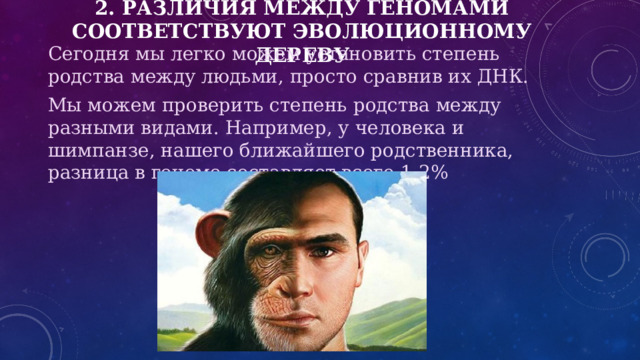 2. Различия между геномами соответствуют эволюционному дереву Сегодня мы легко можем установить степень родства между людьми, просто сравнив их ДНК. Мы можем проверить степень родства между разными видами. Например, у человека и шимпанзе, нашего ближайшего родственника, разница в геноме составляет всего 1-2% 