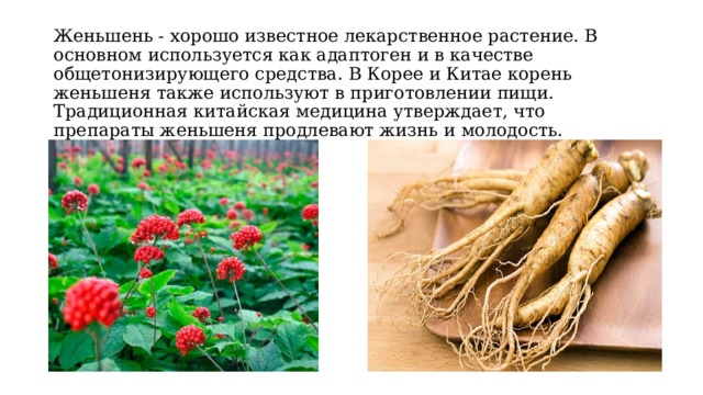 Женьшень - хорошо известное лекарственное растение. В основном используется как адаптоген и в качестве общетонизирующего средства. В Корее и Китае корень женьшеня также используют в приготовлении пищи. Традиционная китайская медицина утверждает, что препараты женьшеня продлевают жизнь и молодость. 
