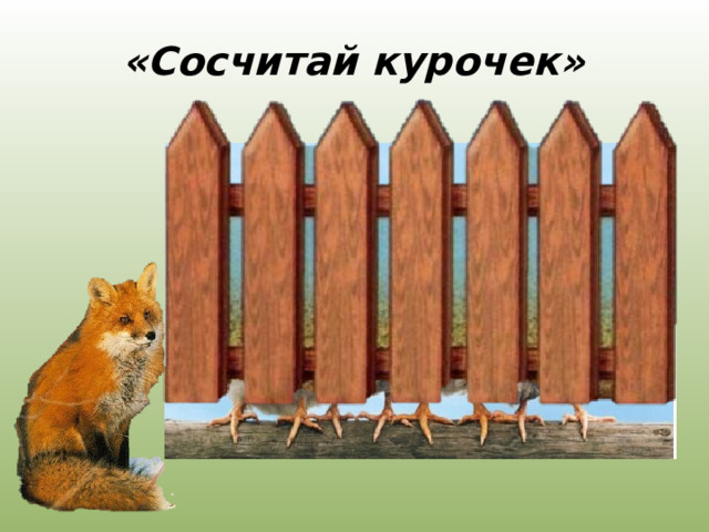 «Сосчитай курочек» 