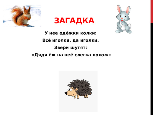 Загадка У нее одёжки колки: Всё иголки, да иголки. Звери шутят: «Дядя ёж на неё слегка похож» 