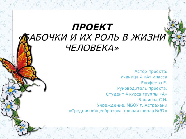   ПРОЕКТ  «БАБОЧКИ И ИХ РОЛЬ В ЖИЗНИ ЧЕЛОВЕКА»     Автор проекта: Ученица 4 «А» класса Ерофеева Е. Руководитель проекта: Студент 4 курса группы «А» Башиева С.Н. Учреждение: МБОУ г. Астрахани «Средняя общеобразовательная школа №37» 