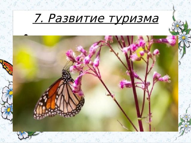 7. Развитие туризма 