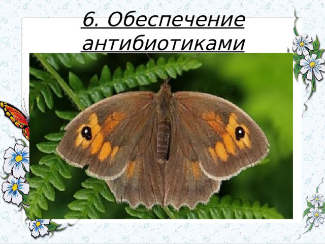6. Обеспечение антибиотиками 