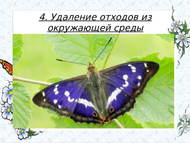 4. Удаление отходов из окружающей среды 