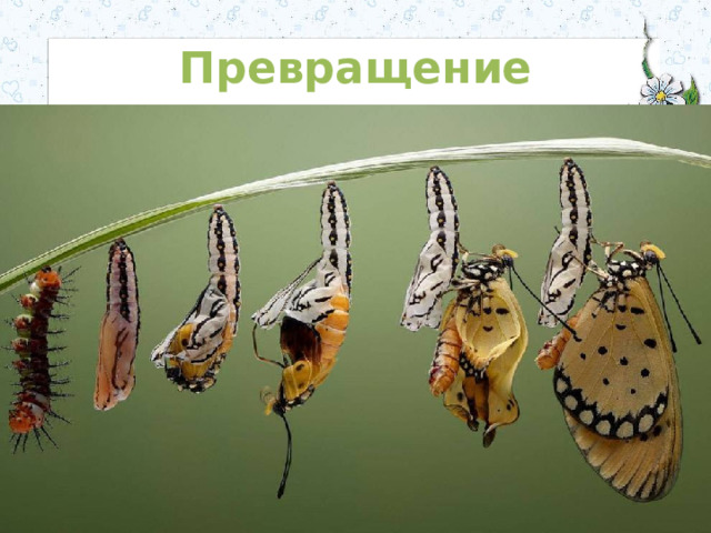 Превращение 