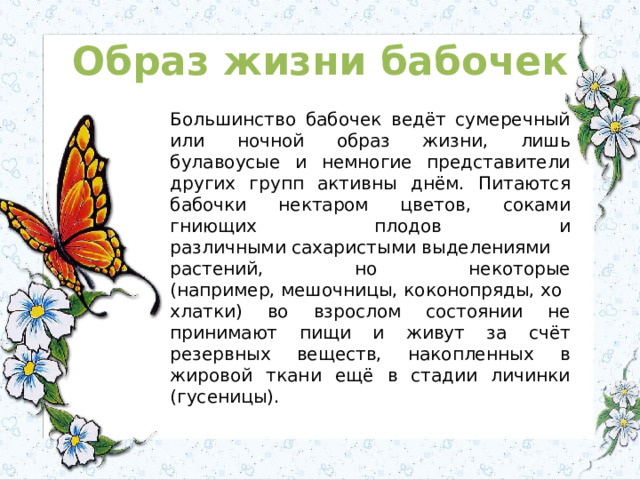 Образ жизни бабочек Большинство бабочек ведёт сумеречный или ночной образ жизни, лишь булавоусые и немногие представители других групп активны днём. Питаются бабочки нектаром цветов, соками гниющих плодов и различными сахаристыми выделениями растений, но некоторые (например, мешочницы, коконопряды, хохлатки) во взрослом состоянии не принимают пищи и живут за счёт резервных веществ, накопленных в жировой ткани ещё в стадии личинки (гусеницы). 