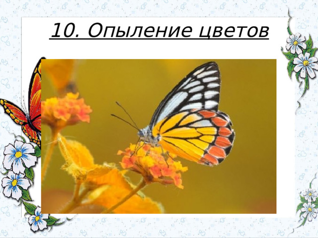 10. Опыление цветов 