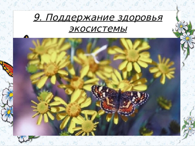 9. Поддержание здоровья экосистемы 
