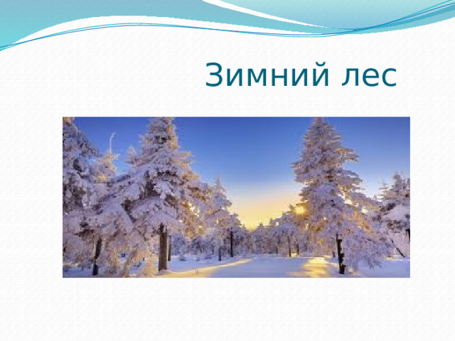  Зимний лес 