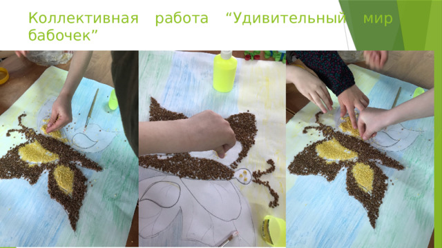 Коллективная работа “Удивительный мир бабочек” 