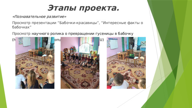 Этапы проекта. «Познавательное развитие» Просмотр презентации “Бабочки-красавицы”, “Интересные факты о бабочках” Просмотр научного ролика о превращении гусеницы в бабочку (https://www.youtube.com/watch?v=fV8vGHzvl0U) 
