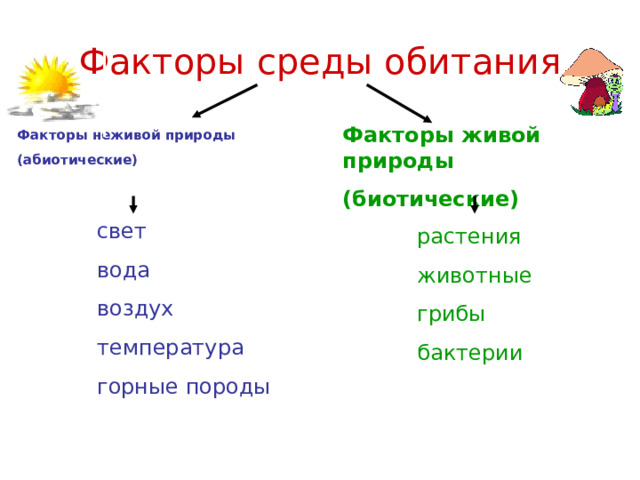 Факторы среды обитания Факторы живой природы (биотические) Факторы неживой природы (абиотические)    свет вода воздух температура горные породы растения животные грибы бактерии 