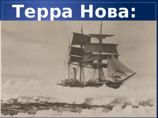 Терра Нова: 