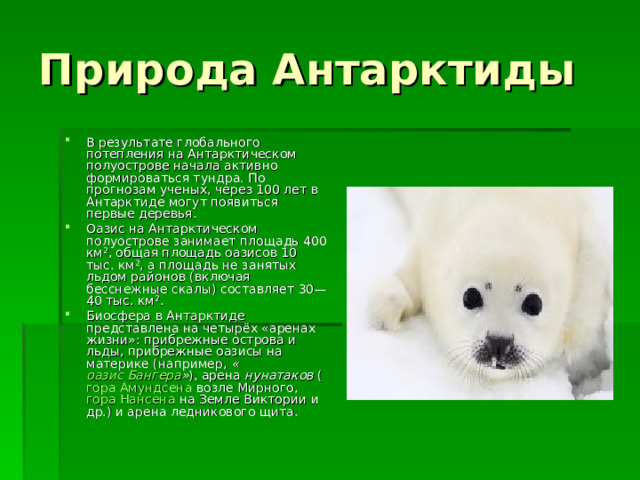 Природа Антарктиды В результате глобального потепления на Антарктическом полуострове начала активно формироваться тундра. По прогнозам ученых, через 100 лет в Антарктиде могут появиться первые деревья. Оазис на Антарктическом полуострове занимает площадь 400 км², общая площадь оазисов 10 тыс. км², а площадь не занятых льдом районов (включая бесснежные скалы) составляет 30—40 тыс. км². Биосфера в Антарктиде представлена на четырёх «аренах жизни»: прибрежные острова и льды, прибрежные оазисы на материке (например,  « оазис Бангера » ), арена  нунатаков  ( гора Амундсена  возле Мирного,  гора Нансена  на Земле Виктории и др.) и арена ледникового щита. 