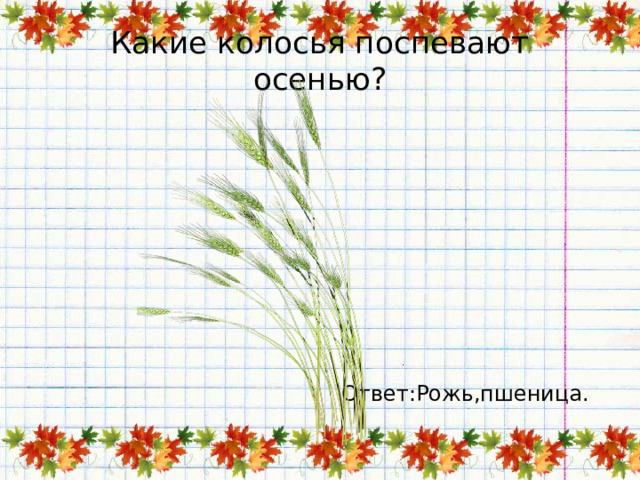 Какие колосья поспевают осенью? Ответ:Рожь,пшеница. 