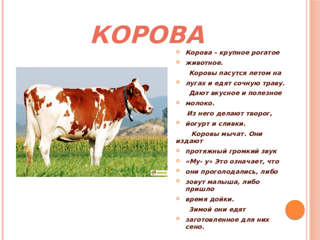 КОРОВА Корова – крупное рогатое животное.  Коровы пасутся летом на лугах и едят сочную траву.  Дают вкусное и полезное молоко.  Из него делают творог, йогурт и сливки.  Коровы мычат. Они издают протяжный громкий звук «Му- у» Это означает, что они проголодались, либо зовут малыша, либо пришло время дойки.  Зимой они едят заготовленное для них сено. 