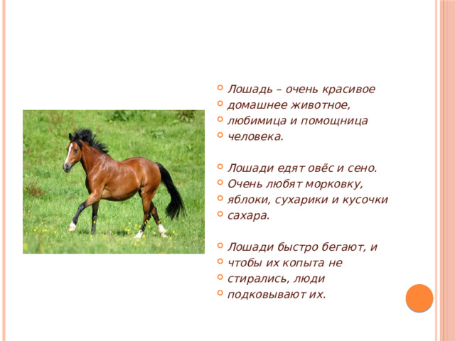 Лошадь – очень красивое домашнее животное, любимица и помощница человека.  Лошади едят овёс и сено. Очень любят морковку, яблоки, сухарики и кусочки сахара.  Лошади быстро бегают, и чтобы их копыта не стирались, люди подковывают их. 