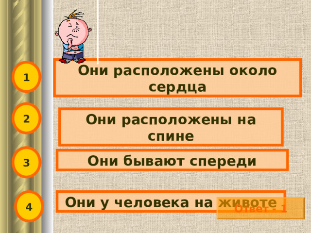 Они расположены около сердца 1 2 Они расположены на спине 3 Они бывают спереди 4 Они у человека на животе Ответ - 1 