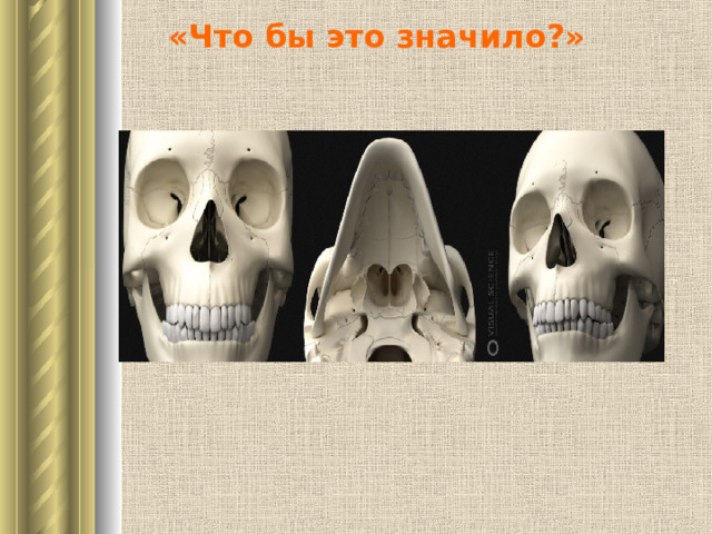 «Что бы это значило?» 