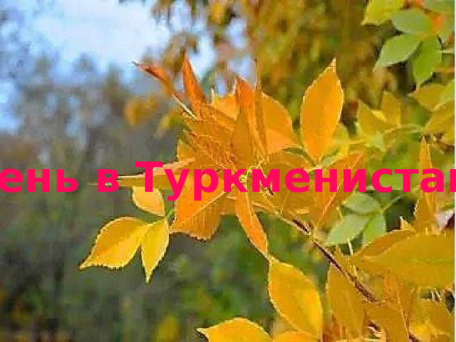 Осень в Туркменистане. 