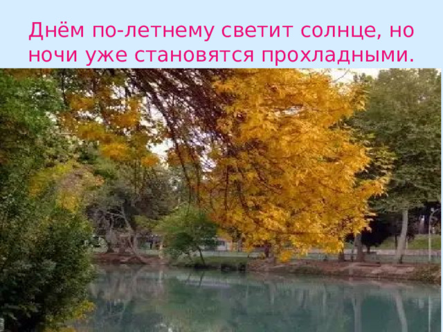 Днём по-летнему светит солнце, но ночи уже становятся прохладными. 