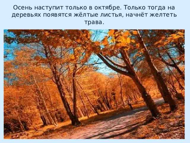 Осень наступит только в октябре. Только тогда на деревьях появятся жёлтые листья, начнёт желтеть трава. 
