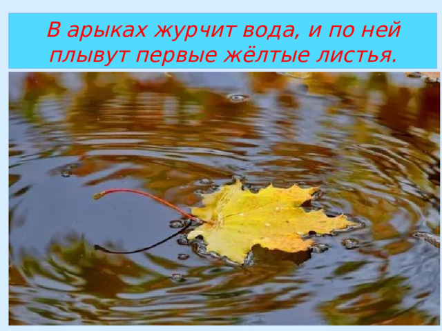 В арыках журчит вода, и по ней плывут первые жёлтые листья. 