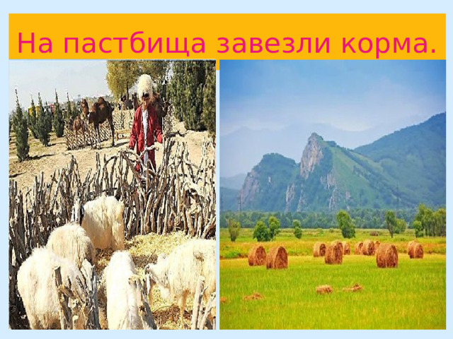 На пастбища завезли корма. 