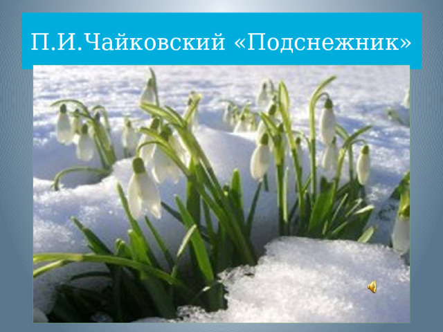П.И.Чайковский «Подснежник» 