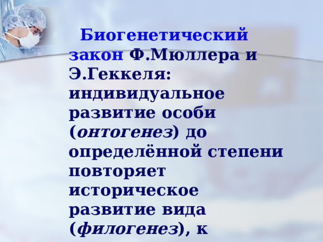  Биогенетический закон Ф.Мюллера и Э.Геккеля: индивидуальное развитие особи ( онтогенез ) до определённой степени повторяет историческое развитие вида ( филогенез ), к которому относится данная особь. 