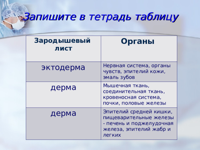 Запишите в тетрадь таблицу   Зародышевый лист  Органы  эктодерма Нервная система, органы чувств, эпителий кожи, эмаль зубов дерма Мышечная ткань, соединительная ткань, кровеносная система, почки, половые железы дерма Эпителий средней кишки, пищеварительные железы - печень и поджелудочная железа, эпителий жабр и легких 