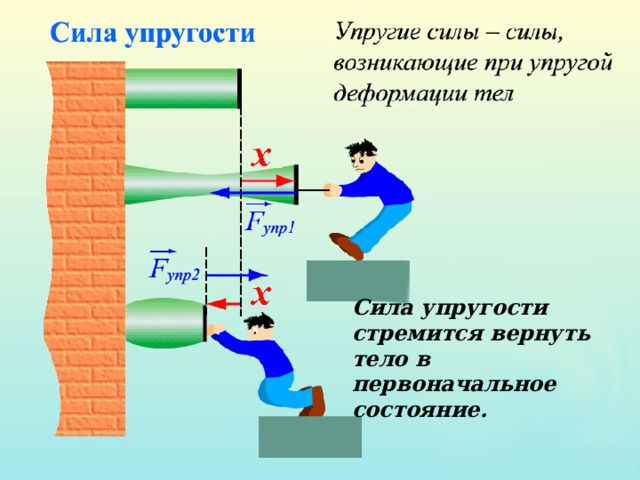 Сила упругости стремится вернуть тело в первоначальное состояние. 