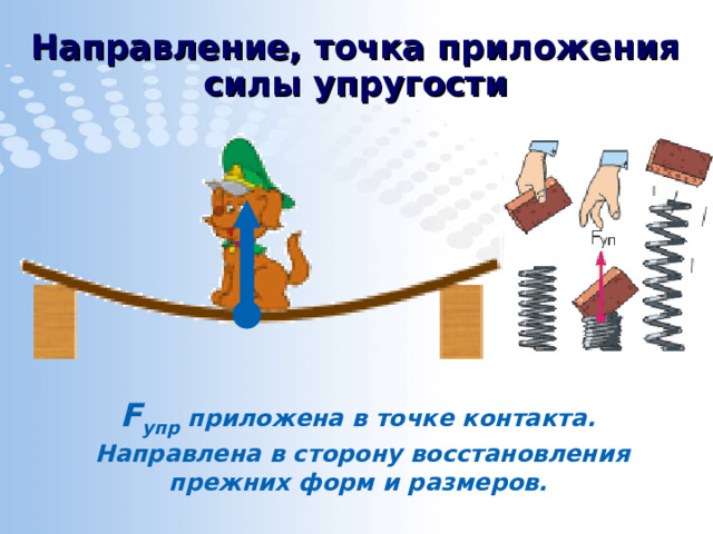 Направление, точка приложения силы упругости F упр приложена в точке контакта. Направлена в сторону восстановления прежних форм и размеров. 