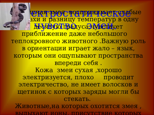 Содержание работы . Молюск «Волшебная лампа» . Рыба – удильщик. Креветки . Полипы. Элекростатическое чувство змеи. Элетрорыбы. Электрический сом. Электрический угорь. Электрический скат. ??? ??? Страница 1 Страница 1 
