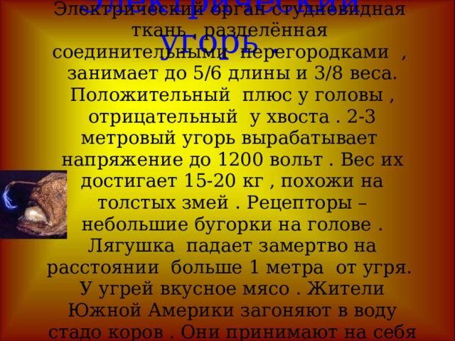 Электрический сом. Живёт в реках Африки .Длина его до 1 метра .Это электроорган , развивает напряжение до 360 вольт.У головы отрицательный плюс , у хвоста – положительный . Человек получает электрошок.Сом создаёт вокруг себя электромагнитное поле за 2-3 метра до себя . Живёт в реках Африки .Длина его до 1 метра .Это электроорган , развивает напряжение до 360 вольт.У головы отрицательный плюс , у хвоста – положительный . Человек получает электрошок.Сом создаёт вокруг себя электромагнитное поле за 2-3 метра до себя . 