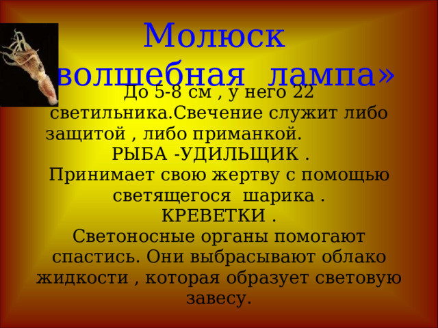 Электрический скат . Длина его до 2 метров . Электроорганы составляют 25% всего тела. Напряжение электрического заряда до 60 вольт достаточно чтобы оглушить или парализовать противника . В древнем мире больного ревматизмом сажали на вытащенного из моря ската . Человек получал сильнейший удар электрического рязряда . Длина его до 2 метров . Электроорганы составляют 25% всего тела. Напряжение электрического заряда до 60 вольт достаточно чтобы оглушить или парализовать противника . В древнем мире больного ревматизмом сажали на вытащенного из моря ската . Человек получал сильнейший удар электрического рязряда . 