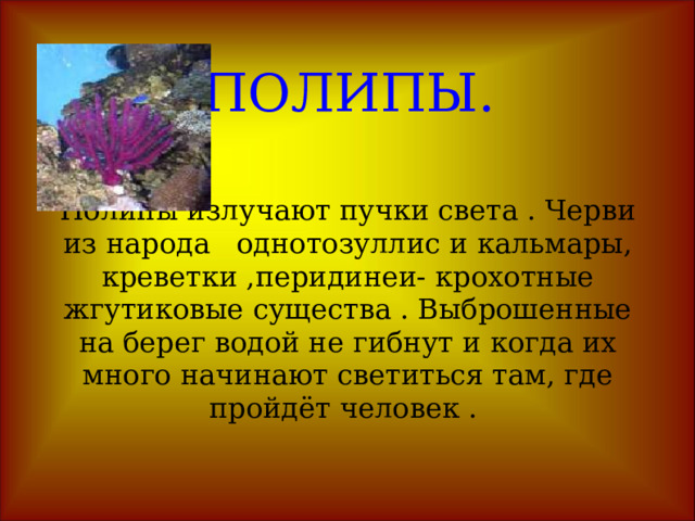 КРЕВЕТКИ КРЕВЕТКЕ светоносные органы помогают спастись. Она выбрасывает облако жидкости, которая образует световую завесу. 