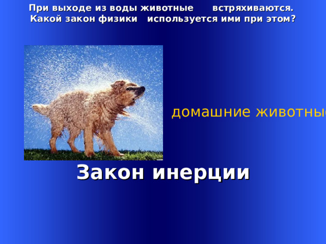 При выходе из воды животные встряхиваются. Какой закон физики используется ими при этом? 1 домашние животные Закон инерции  Welcome to Power Jeopardy   © Don Link, Indian Creek School, 2004 You can easily customize this template to create your own Jeopardy game. Simply follow the step-by-step instructions that appear on Slides 1-3. 1 