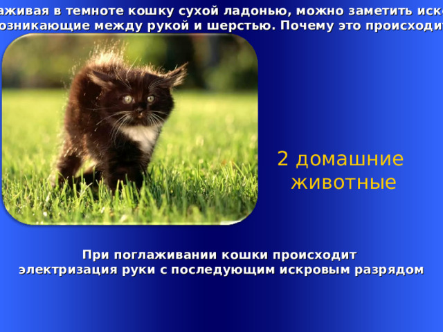 Поглаживая в темноте кошку сухой ладонью, можно заметить искорки,  возникающие между рукой и шерстью. Почему это происходит? 2 домашние  животные   При поглаживании кошки происходит электризация руки с последующим искровым разрядом Welcome to Power Jeopardy   © Don Link, Indian Creek School, 2004 You can easily customize this template to create your own Jeopardy game. Simply follow the step-by-step instructions that appear on Slides 1-3. 1 
