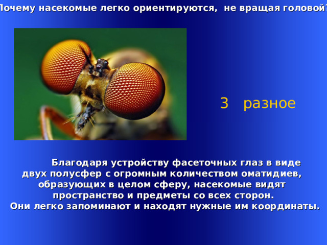 Почему насекомые легко ориентируются, не вращая головой?  3 разное  Благодаря устройству фасеточных глаз в виде двух полусфер с огромным количеством оматидиев, образующих в целом сферу, насекомые видят пространство и предметы со всех сторон.  Они легко запоминают и находят нужные им координаты. Welcome to Power Jeopardy   © Don Link, Indian Creek School, 2004 You can easily customize this template to create your own Jeopardy game. Simply follow the step-by-step instructions that appear on Slides 1-3. 1 
