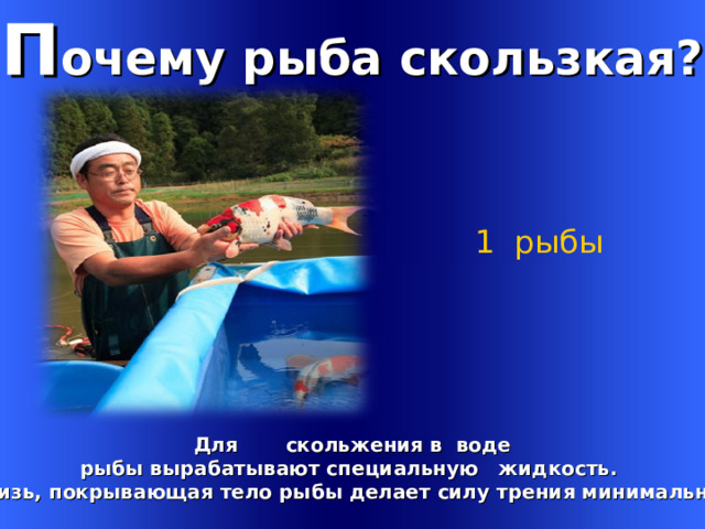 П очему рыба скользкая? 1 рыбы        Для скольжения в воде рыбы вырабатывают специальную жидкость. Слизь, покрывающая тело рыбы делает силу трения минимальной Welcome to Power Jeopardy   © Don Link, Indian Creek School, 2004 You can easily customize this template to create your own Jeopardy game. Simply follow the step-by-step instructions that appear on Slides 1-3. 1 