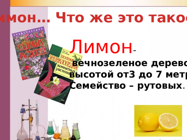 Лимон… Что же это такое? Лимон -  вечнозеленое дерево высотой от3 до 7 метров Семейство – рутовых . 