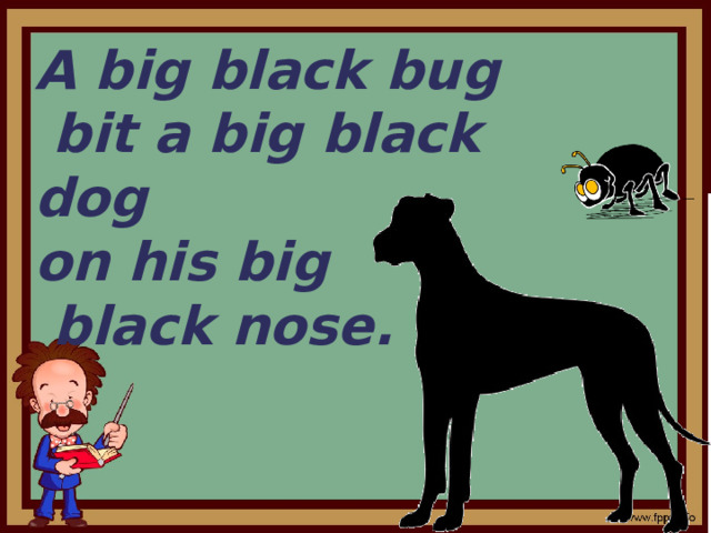 A big black bug  bit a big black dog on his big  black nose. 