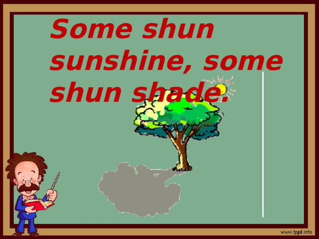 Some shun sunshine, some shun shade.    