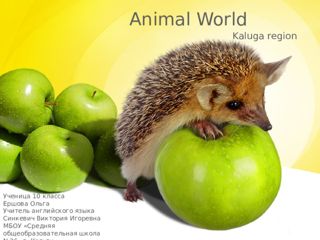 Animal World Kaluga region Ученица 10 класса Ершова Ольга Учитель английского языка Синкевич Виктория Игоревна МБОУ «Средняя общеобразовательная школа №26» г. Калуги 1 