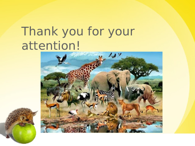 Thank you for your attention! 