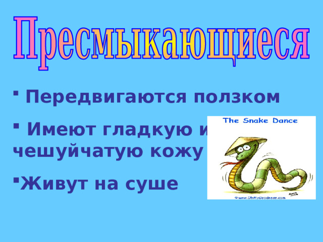   Передвигаются ползком  Имеют гладкую или чешуйчатую кожу Живут на суше 