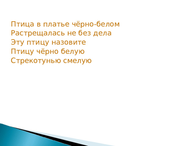 Птица в платье чёрно-белом Растрещалась не без дела Эту птицу назовите Птицу чёрно белую Стрекотунью смелую 