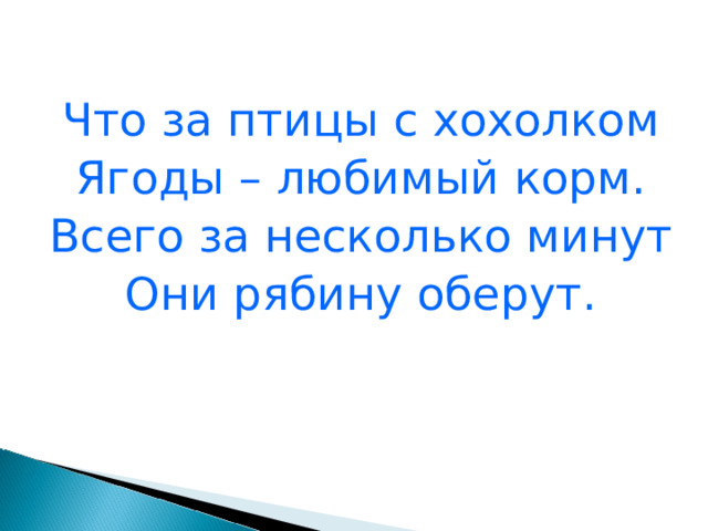 Что за птицы с хохолком Ягоды – любимый корм. Всего за несколько минут Они рябину оберут. 
